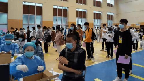 淄博民宿爆料最新消息查询,揭秘热门民宿背后的故事与魅力  第2张